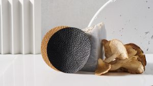 Un textile fabriqué à base de champignon